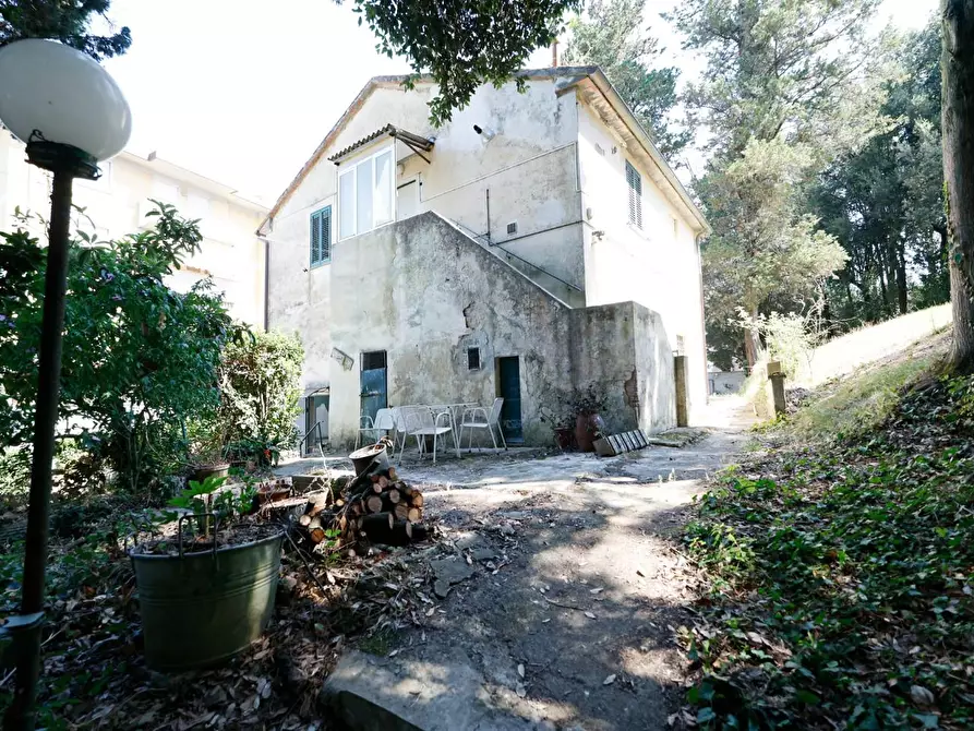Immagine 20 di Porzione di casa in vendita  a Collesalvetti