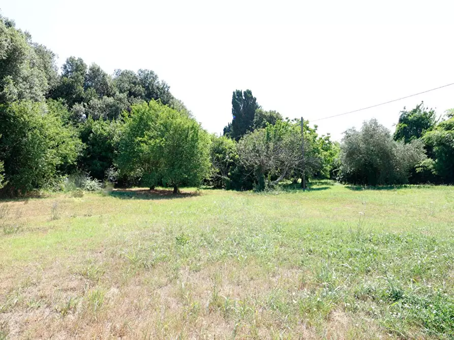 Immagine 55 di Porzione di casa in vendita  a Collesalvetti