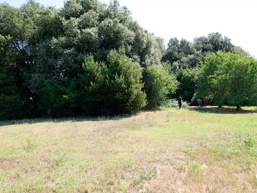 Immagine 56 di Porzione di casa in vendita  a Collesalvetti