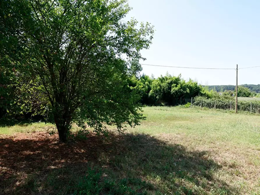 Immagine 52 di Porzione di casa in vendita  a Collesalvetti