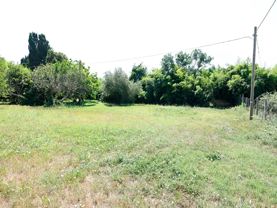 Immagine 57 di Porzione di casa in vendita  a Collesalvetti