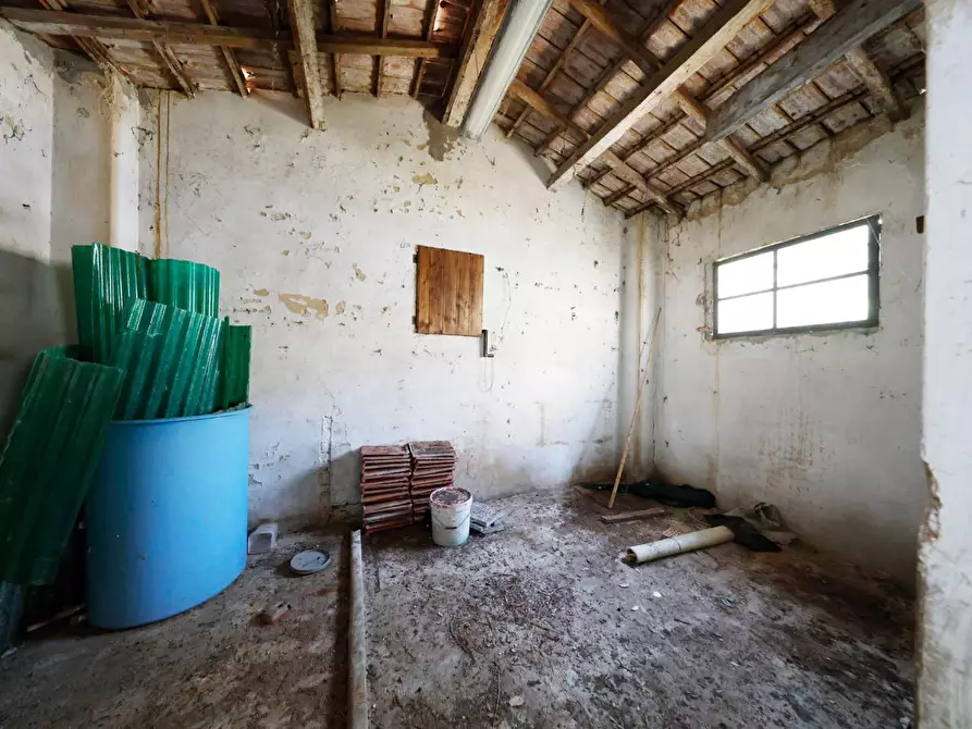 Immagine 47 di Porzione di casa in vendita  a Collesalvetti