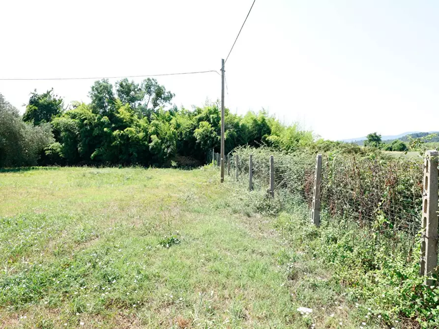 Immagine 58 di Porzione di casa in vendita  a Collesalvetti