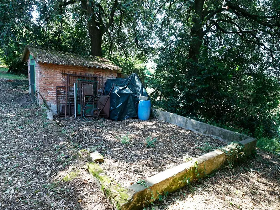 Immagine 14 di Porzione di casa in vendita  a Collesalvetti