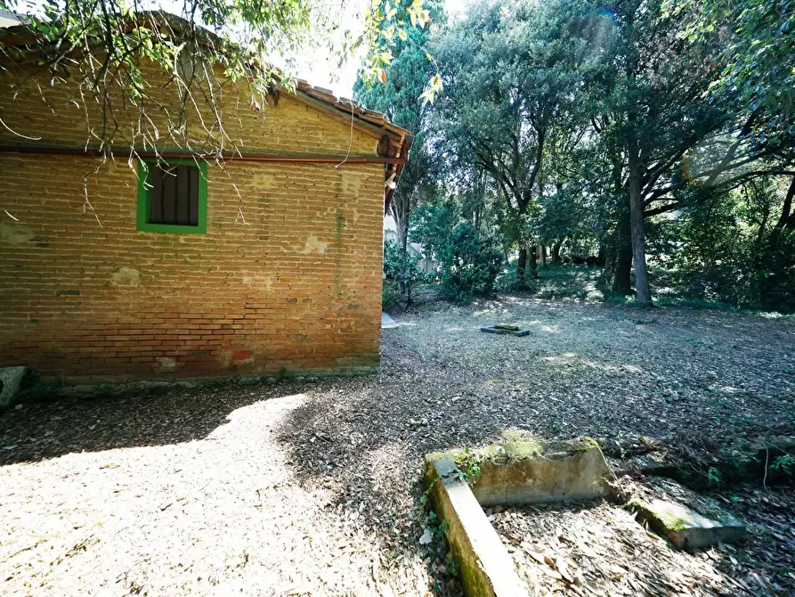 Immagine 15 di Porzione di casa in vendita  a Collesalvetti