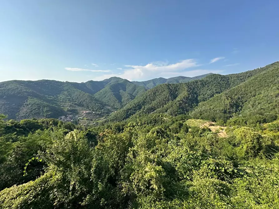 Immagine 27 di Casa semindipendente in vendita  a Ortonovo