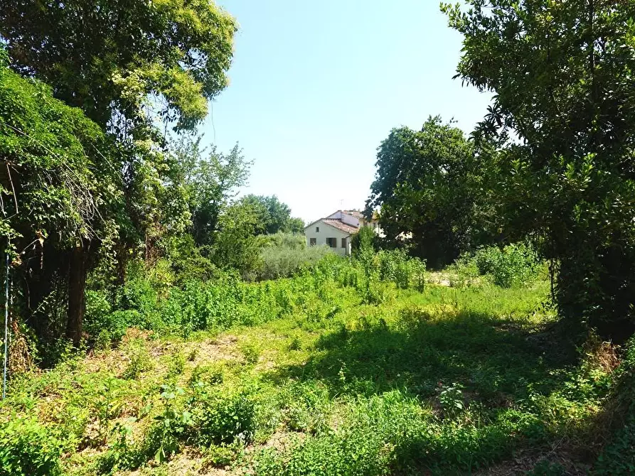 Immagine 24 di Terratetto in vendita  a Capannori