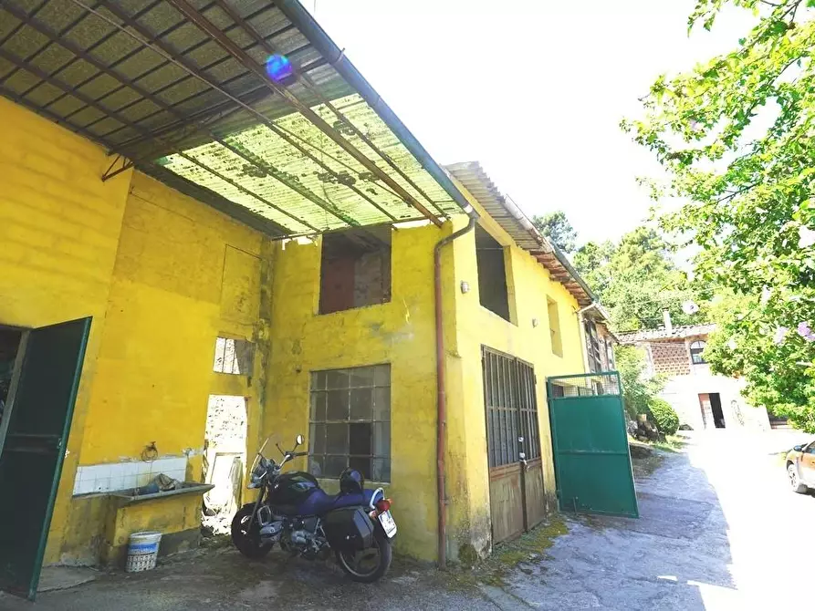 Immagine 23 di Terratetto in vendita  a Capannori