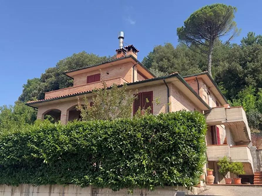 Immagine 4 di Appartamento in vendita  a Radicondoli