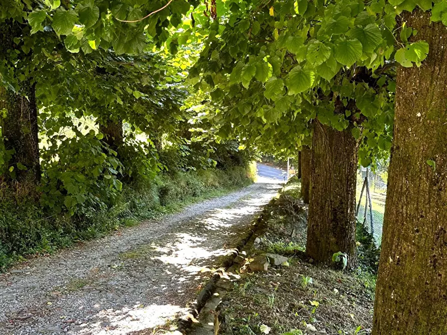 Immagine 28 di Villa in vendita  a San Marcello Piteglio
