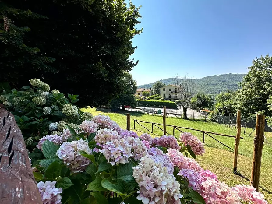 Immagine 26 di Villa in vendita  a San Marcello Piteglio