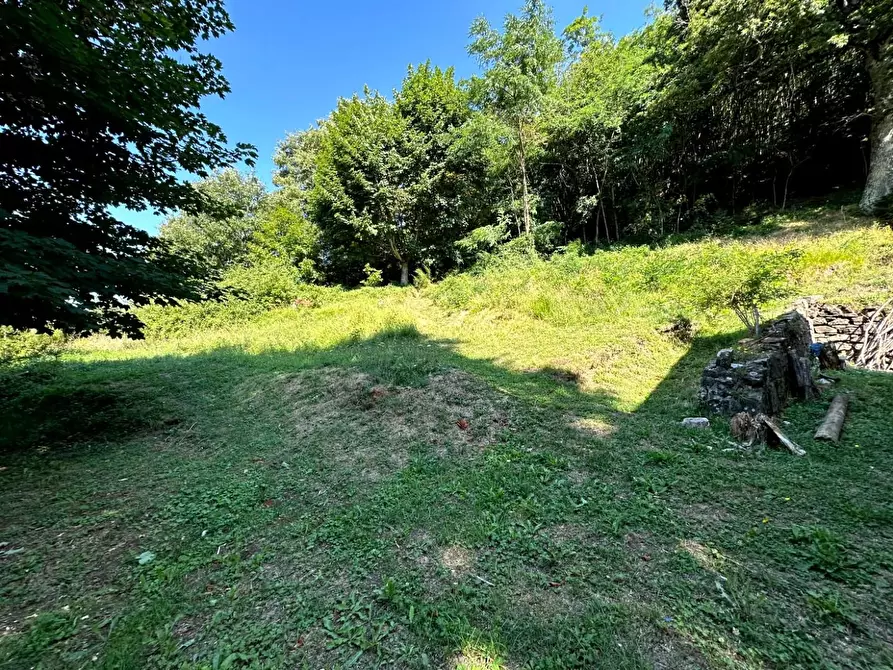 Immagine 17 di Villa in vendita  a San Marcello Piteglio