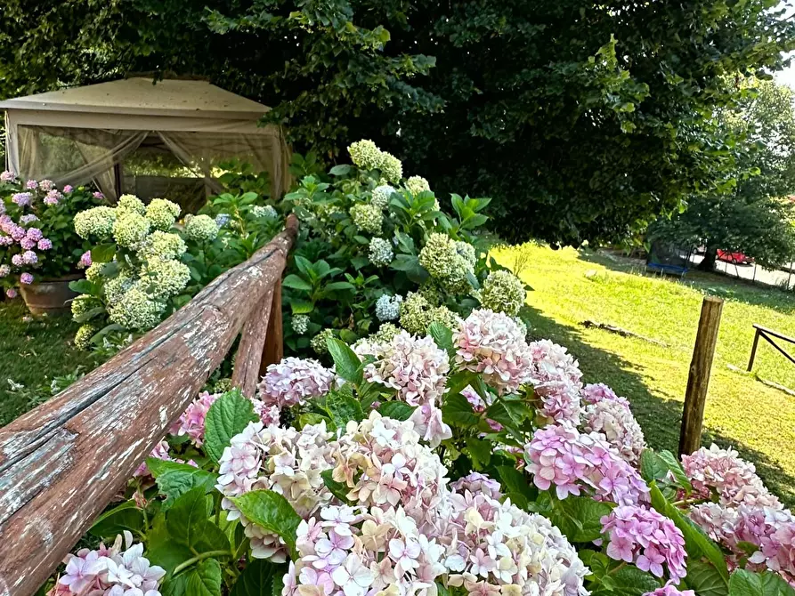Immagine 25 di Villa in vendita  a San Marcello Piteglio