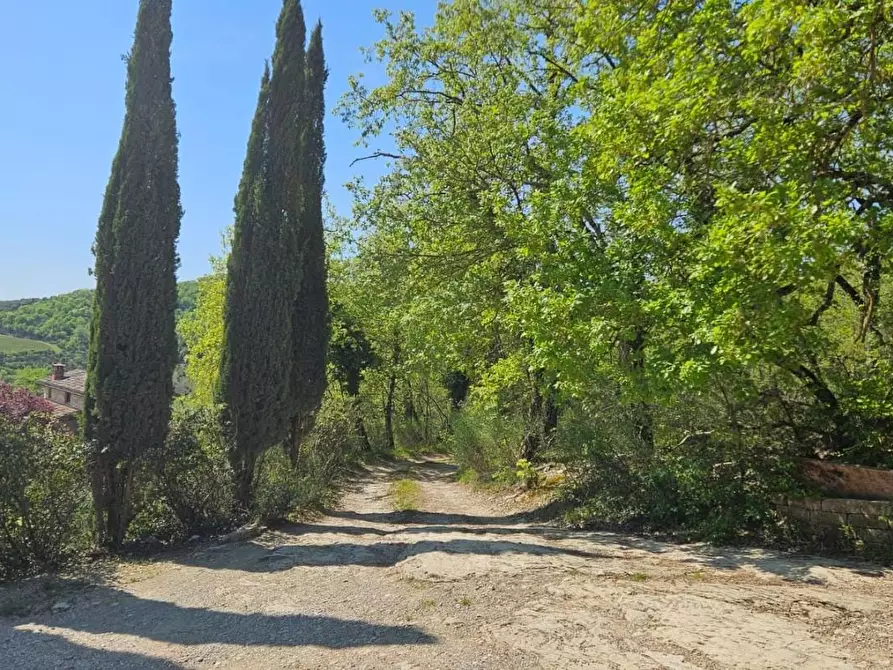 Immagine 4 di Casa indipendente in vendita  a Radda In Chianti