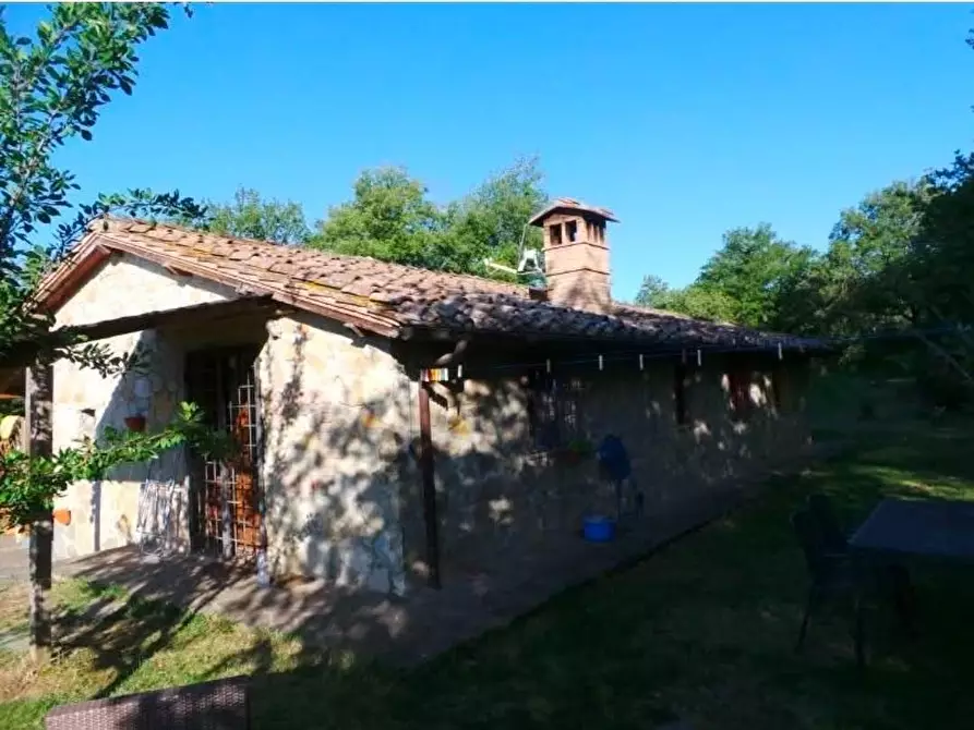 Immagine 5 di Casa indipendente in vendita  a Radda In Chianti