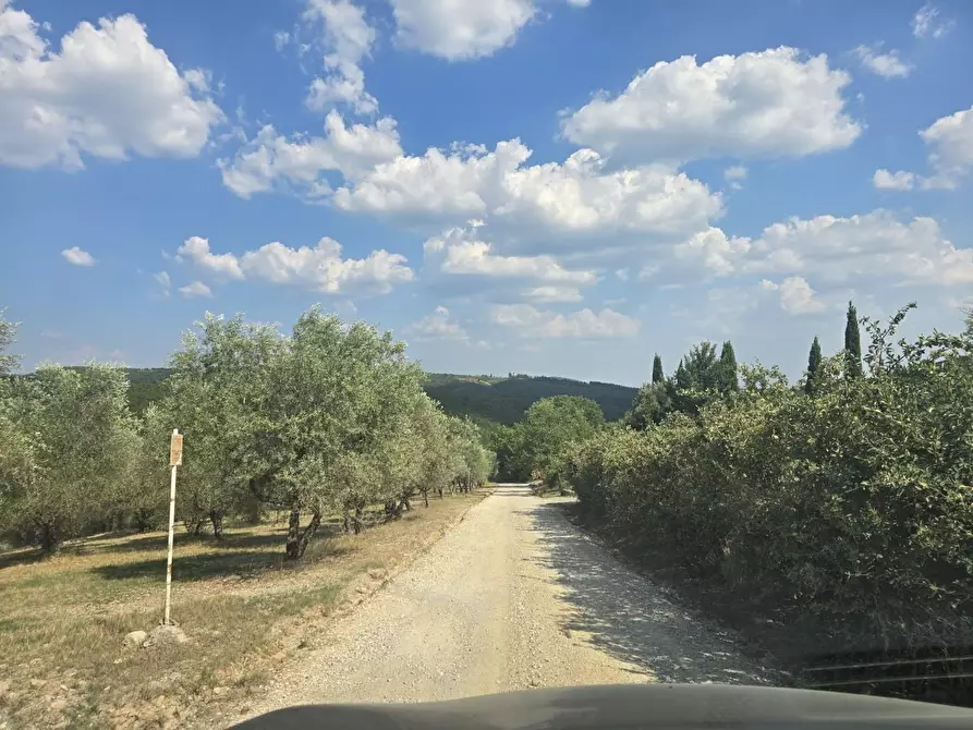 Immagine 3 di Casa indipendente in vendita  a Radda In Chianti