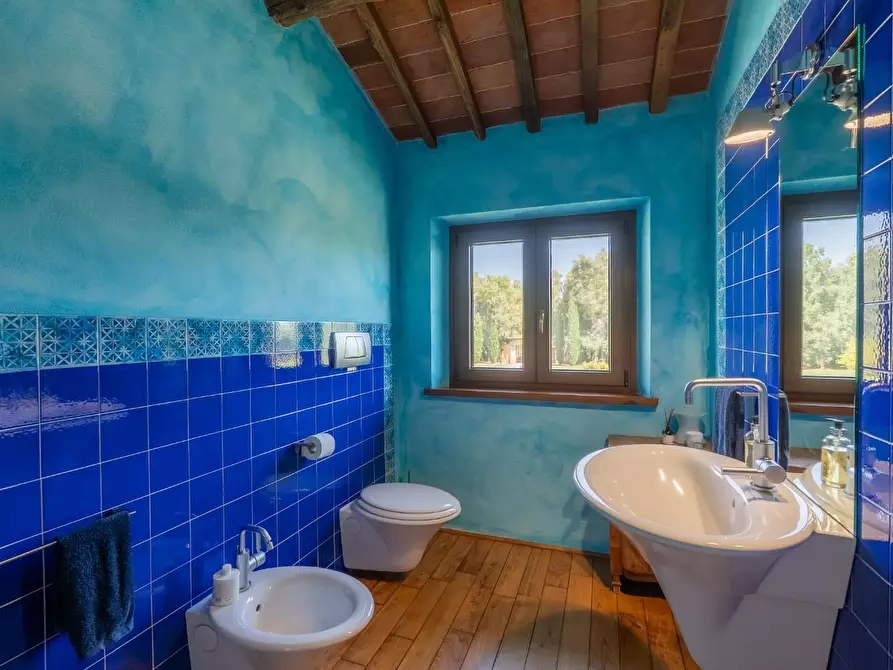 Immagine 48 di Villa in vendita  a Pietrasanta