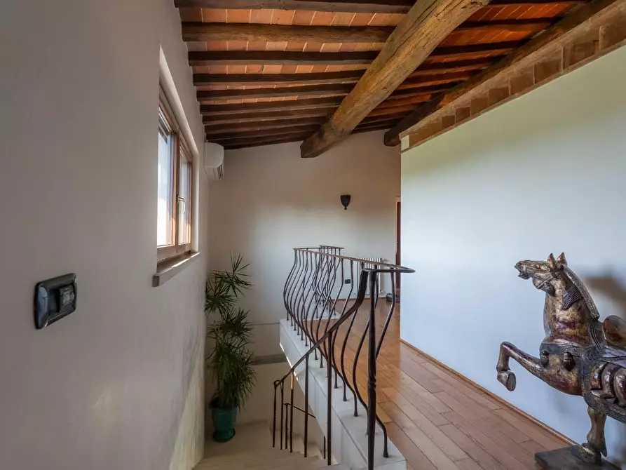 Immagine 56 di Villa in vendita  a Pietrasanta