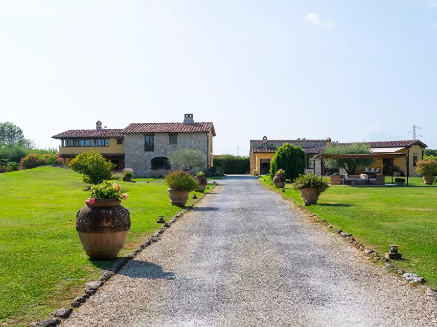 Immagine 22 di Villa in vendita  a Pietrasanta