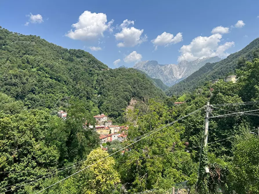 Immagine 21 di Terratetto in vendita  a Massa