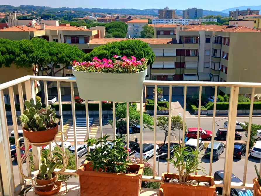 Immagine 19 di Appartamento in vendita  a Rosignano Marittimo