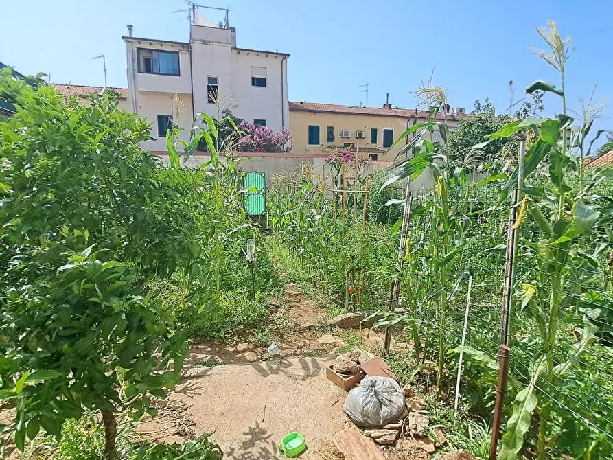 Immagine 2 di Appartamento in vendita  a Rosignano Marittimo