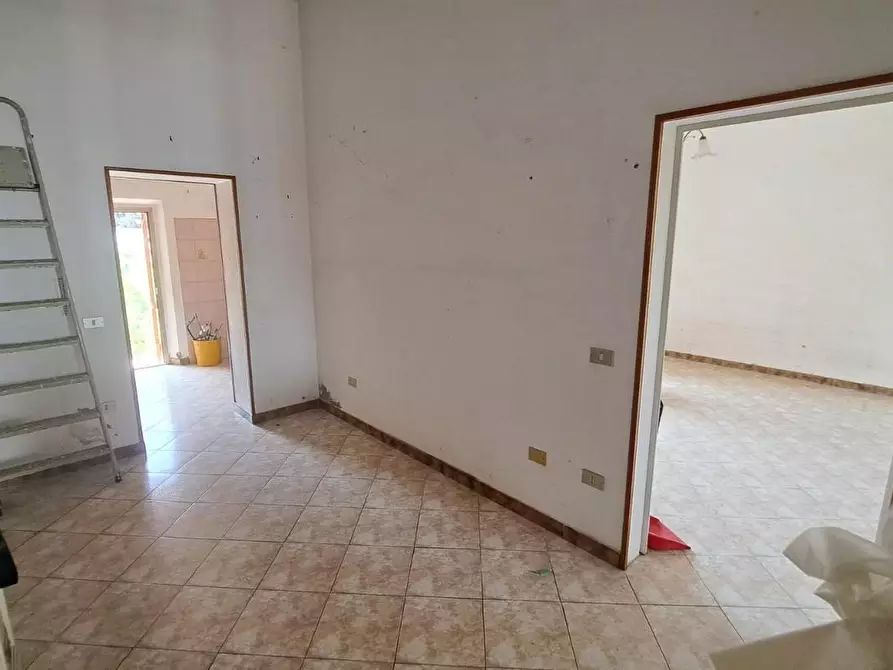 Immagine 4 di Appartamento in vendita  a Rosignano Marittimo