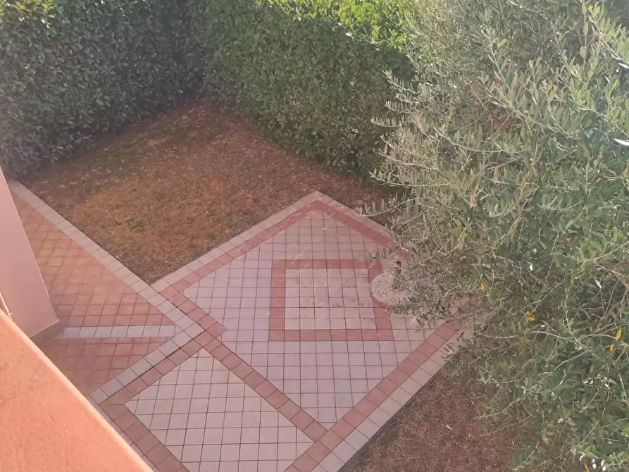 Immagine 5 di Terratetto in vendita  a Castelfranco Di Sotto
