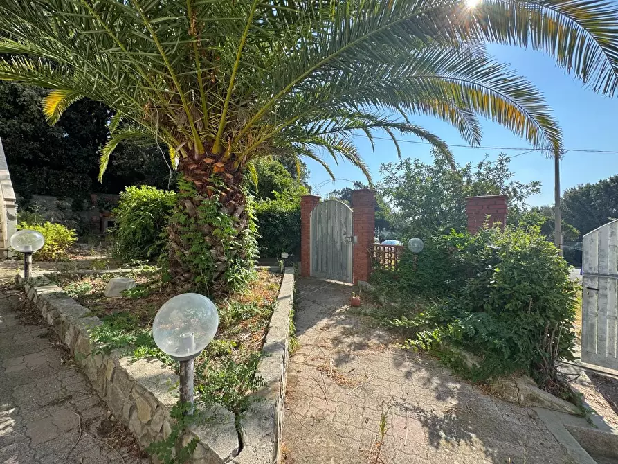 Immagine 2 di Casa bifamiliare in vendita  a Rosignano Marittimo