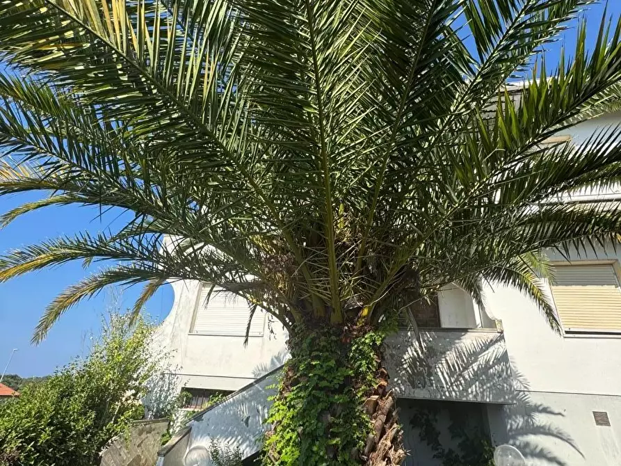 Immagine 9 di Casa bifamiliare in vendita  a Rosignano Marittimo