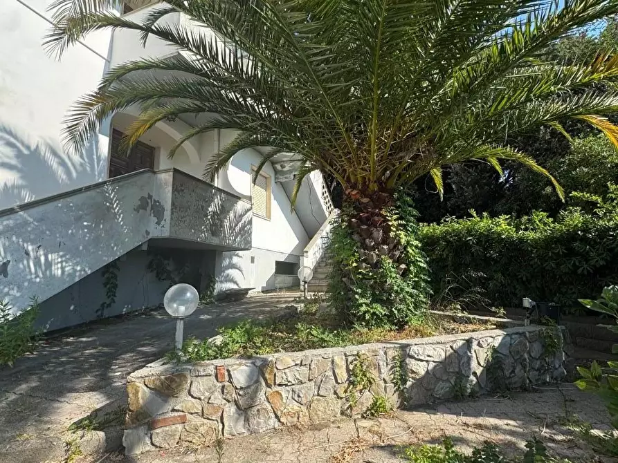 Immagine 6 di Casa bifamiliare in vendita  a Rosignano Marittimo
