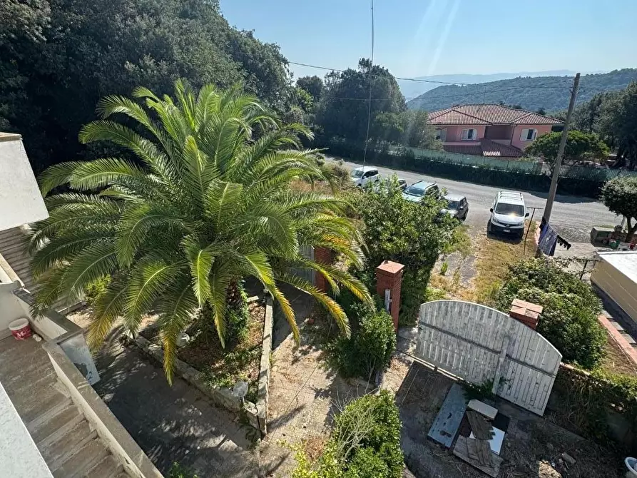 Immagine 48 di Casa bifamiliare in vendita  a Rosignano Marittimo