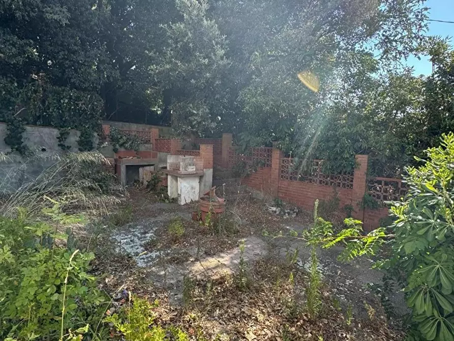 Immagine 44 di Casa bifamiliare in vendita  a Rosignano Marittimo