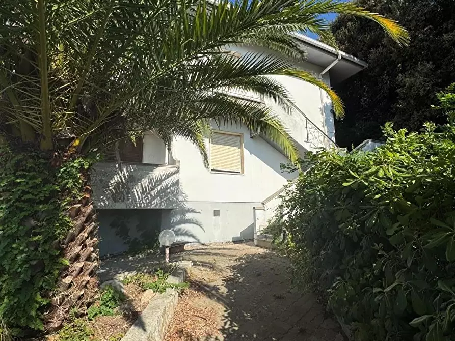Immagine 11 di Casa bifamiliare in vendita  a Rosignano Marittimo