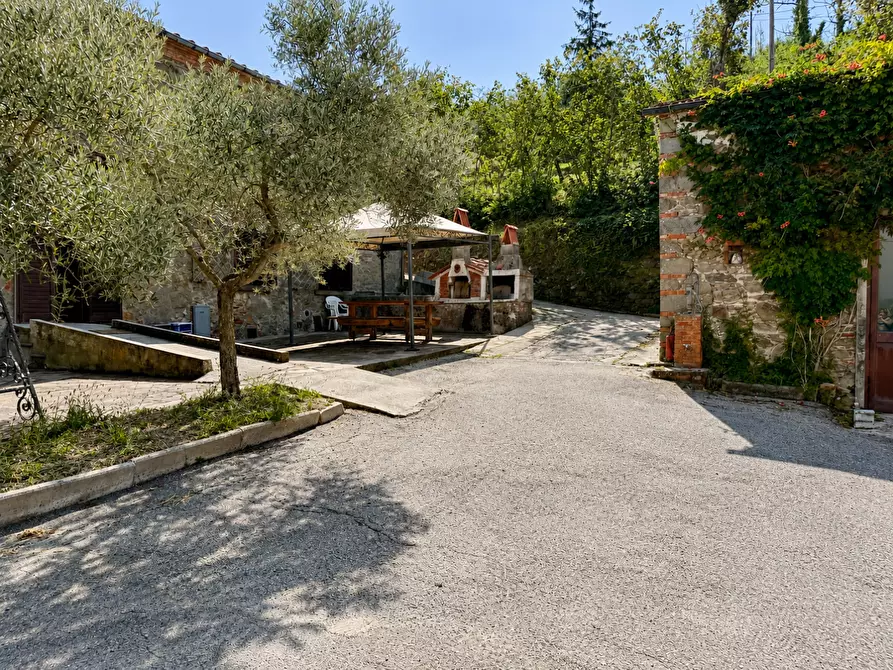 Immagine 4 di Casa colonica in vendita  a Larciano