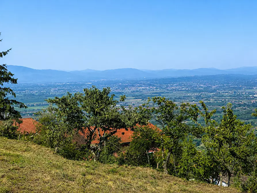 Immagine 3 di Casa colonica in vendita  a Larciano