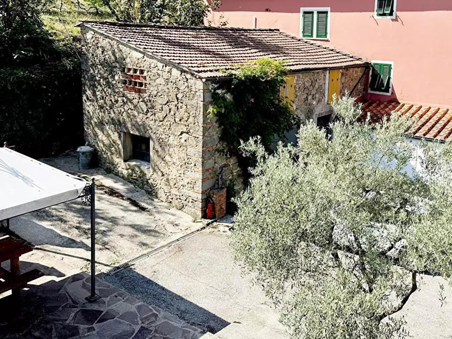 Immagine 21 di Casa colonica in vendita  a Larciano