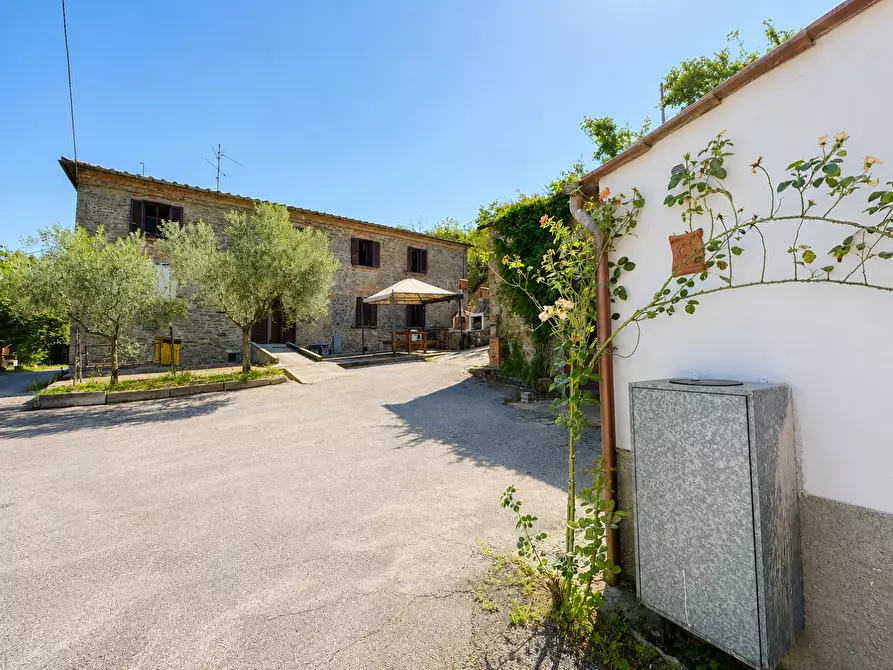 Immagine 25 di Casa colonica in vendita  a Larciano