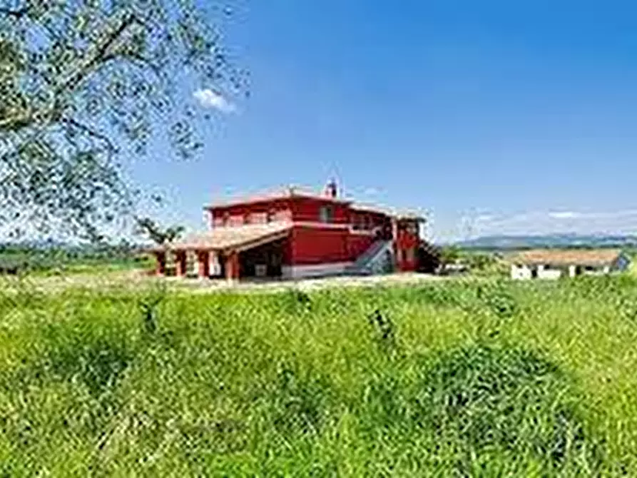 Immagine 1 di Agriturismo in affitto  a Vecchiano