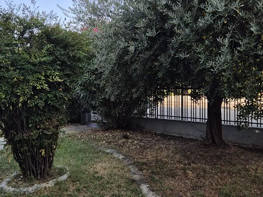Immagine 2 di Appartamento in vendita  a Santa Croce Sull'arno