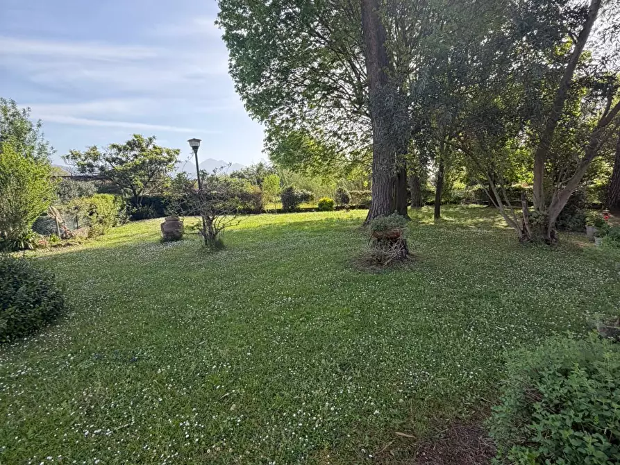 Immagine 11 di Appartamento in vendita  a Ameglia