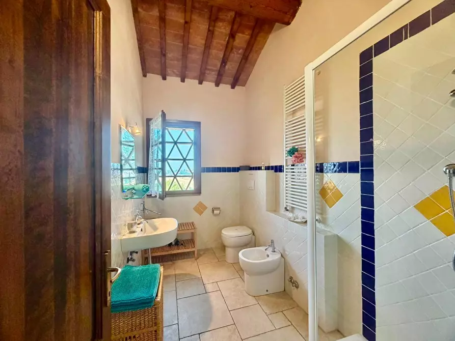 Immagine 40 di Casa colonica in vendita  a Volterra