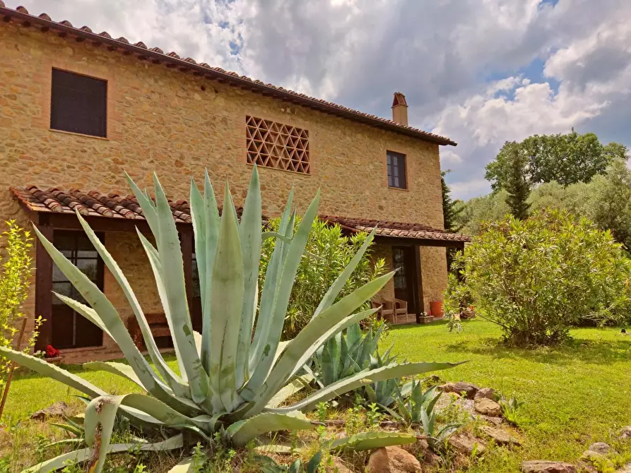 Immagine 12 di Casa colonica in vendita  a Volterra