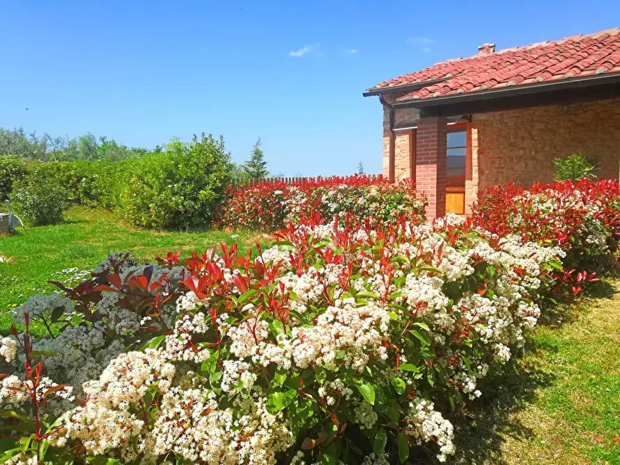 Immagine 11 di Casa colonica in vendita  a Volterra