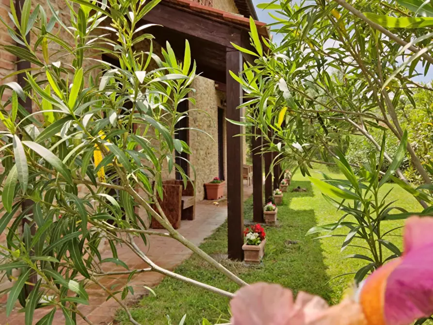 Immagine 14 di Casa colonica in vendita  a Volterra