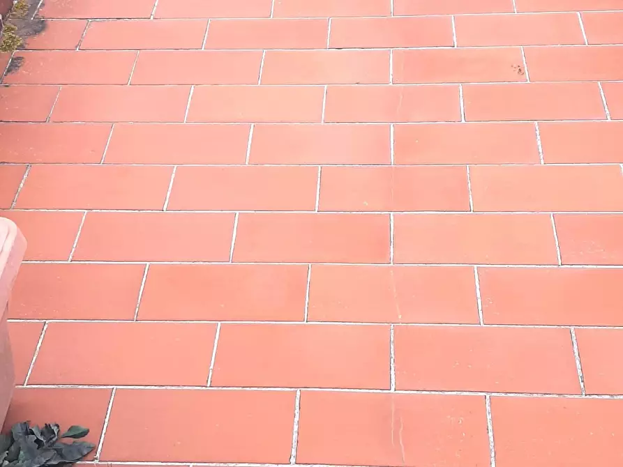 Immagine 5 di Appartamento in vendita  a Rosignano Marittimo
