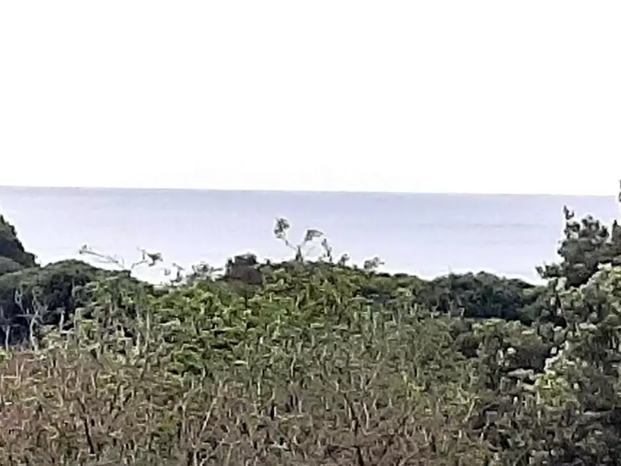 Immagine 6 di Appartamento in vendita  a Rosignano Marittimo