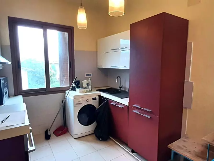 Immagine 7 di Appartamento in vendita  a Rosignano Marittimo
