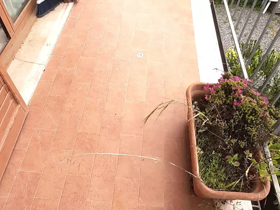 Immagine 12 di Appartamento in vendita  a Rosignano Marittimo