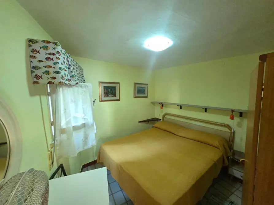 Immagine 6 di Appartamento in vendita  a Rosignano Marittimo